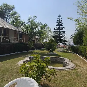 Resort Vatika, Shogi